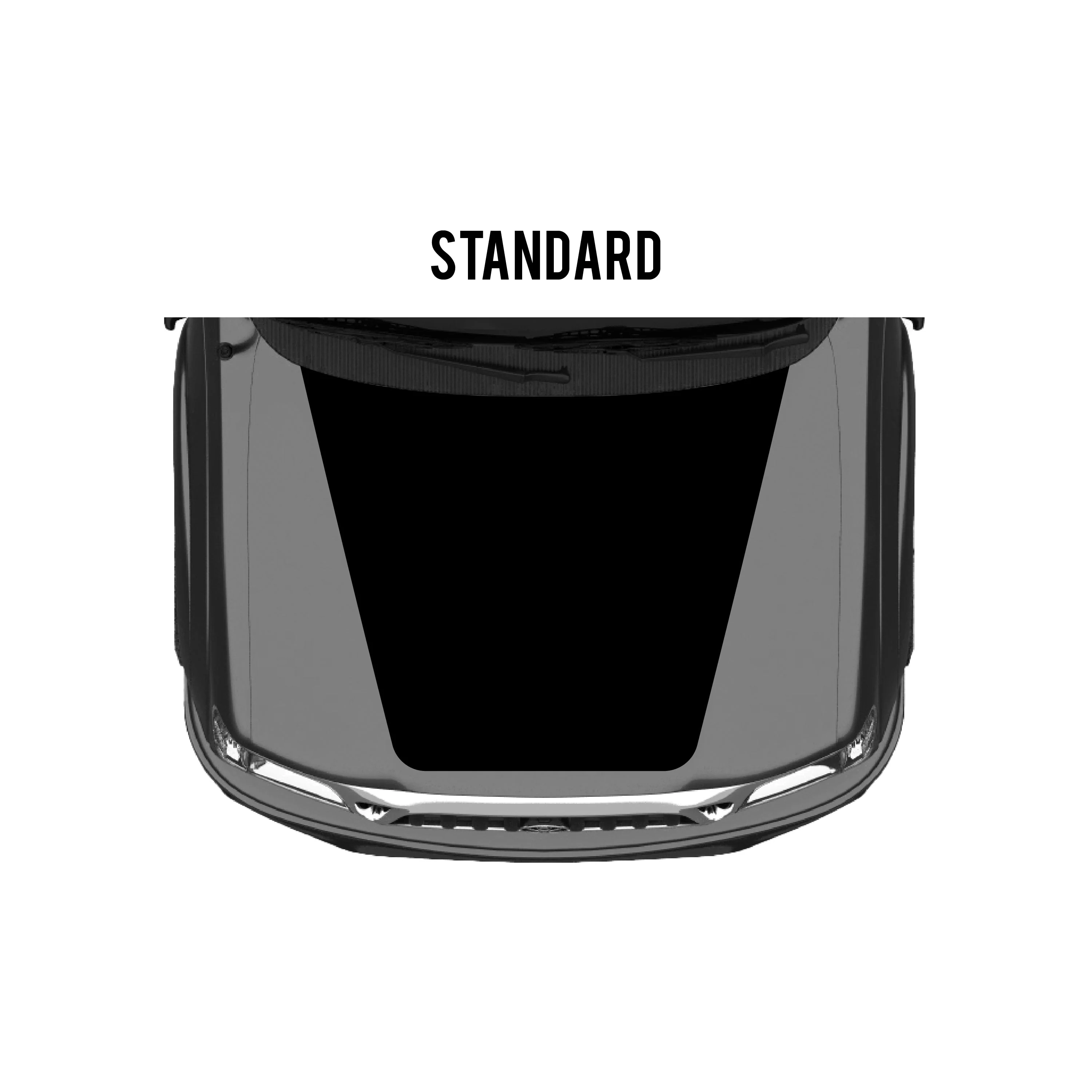 2001-04 Tacoma Checkered Stripe Kit - Image 19
