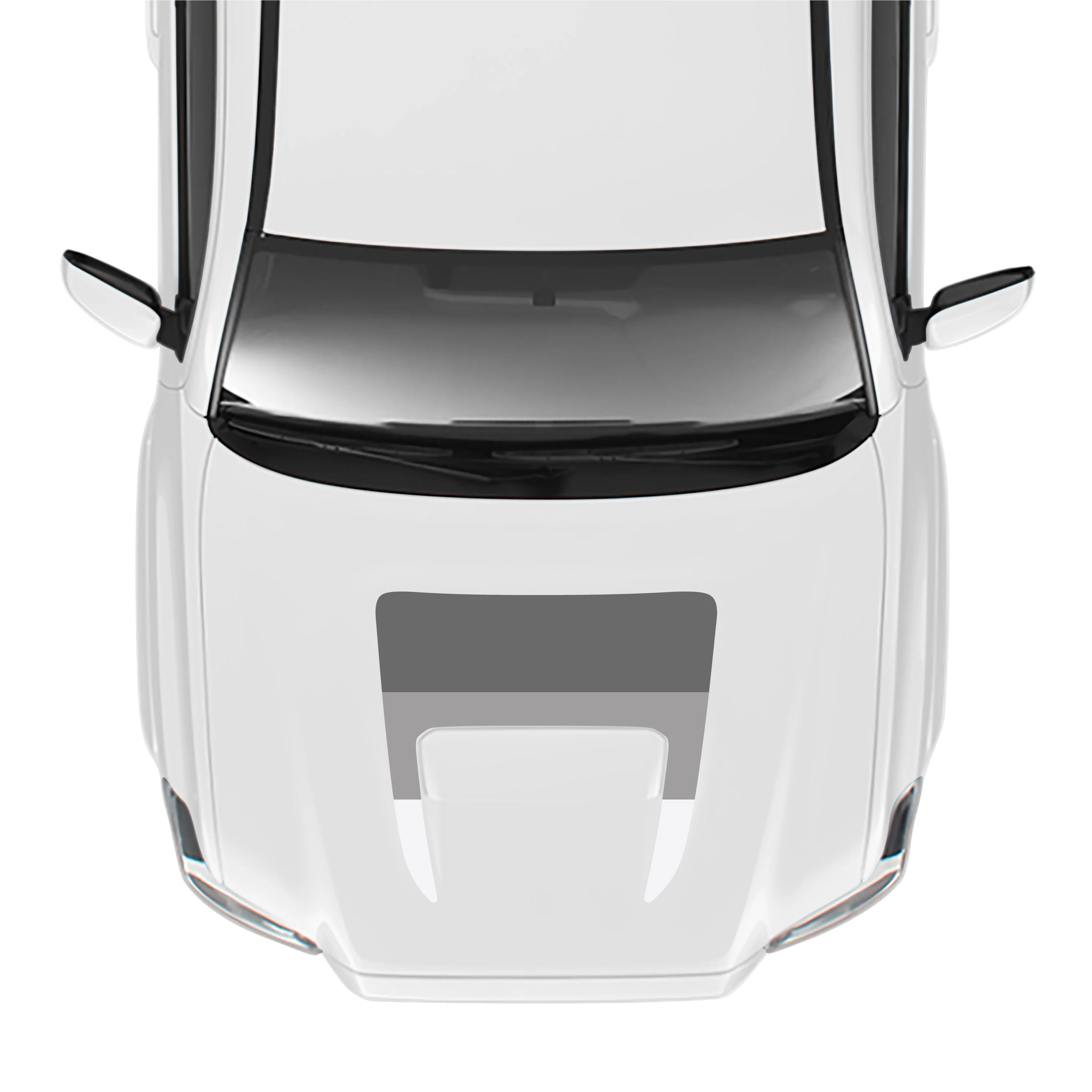 2016-23 Tacoma Sport/Pro Hood Stamp - Image 15