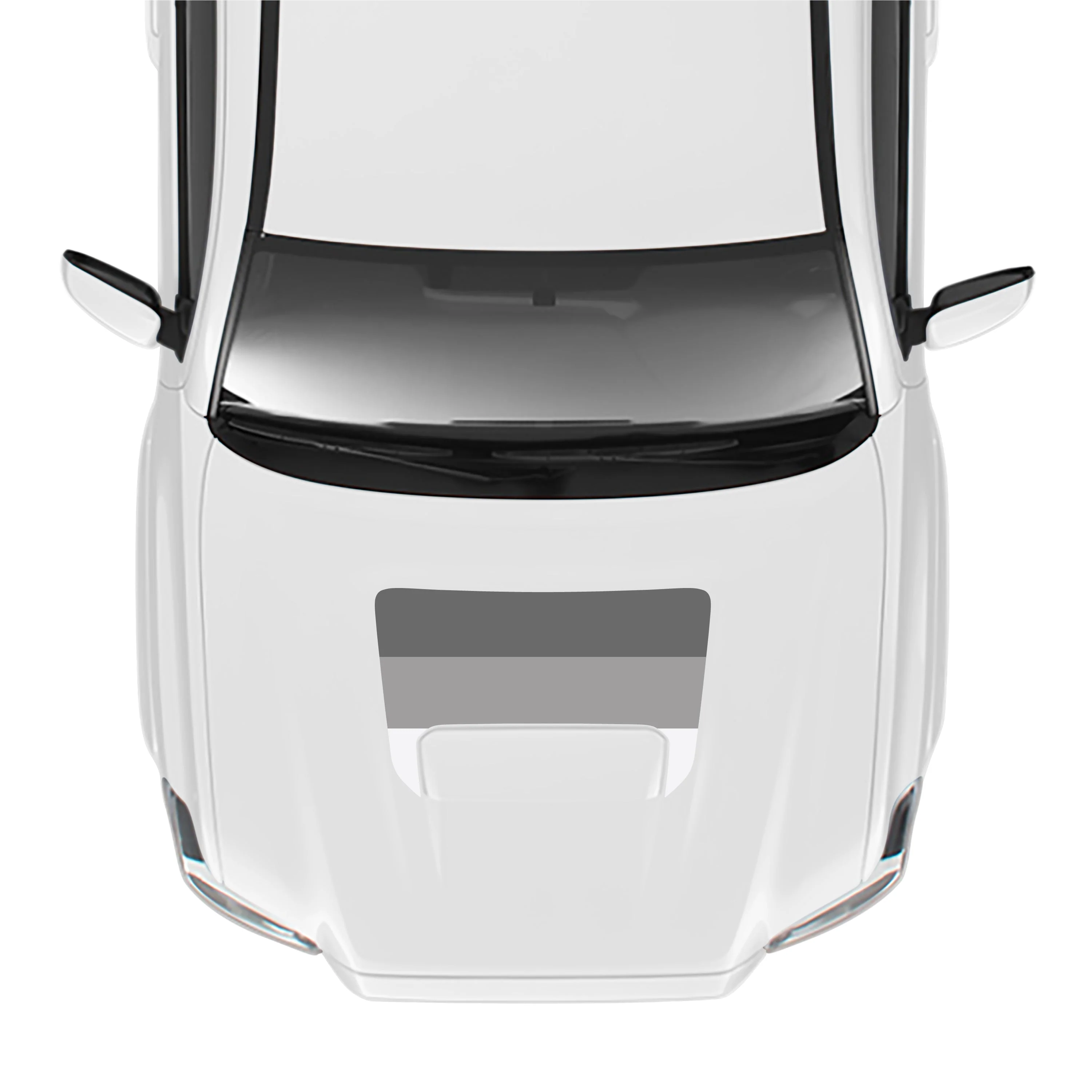 2016-23 Tacoma Sport/Pro Hood Stamp - Image 38