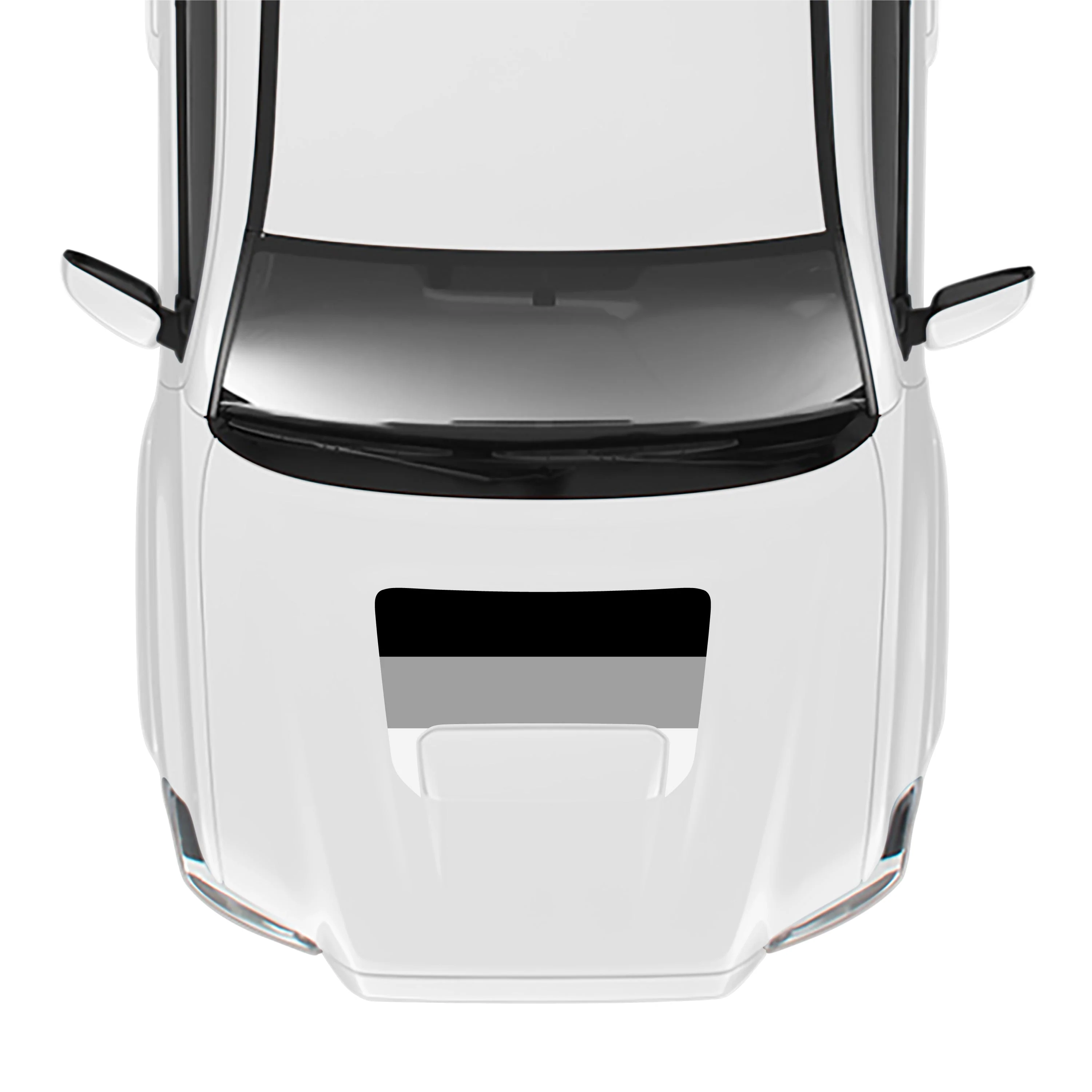2016-23 Tacoma Sport/Pro Hood Stamp - Image 48