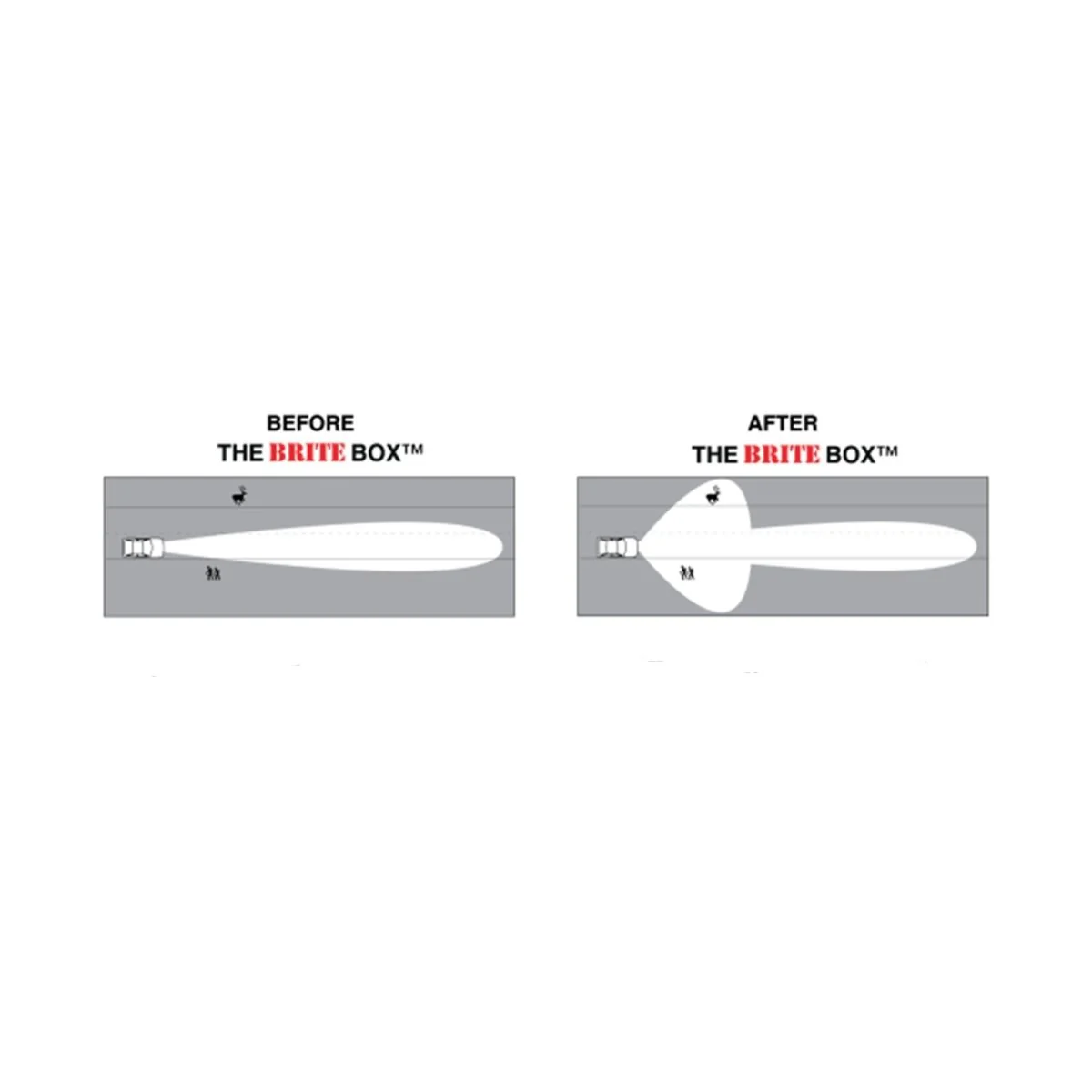 The Brite Box - Ford Expedition (1997-2002) - Image 2